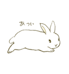 うさぎのシロ（個別スタンプ：10）