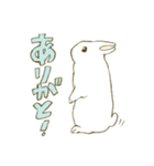 うさぎのシロ（個別スタンプ：11）