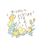 うさぎのシロ（個別スタンプ：12）