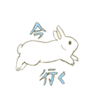 うさぎのシロ（個別スタンプ：13）