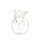 うさぎのシロ（個別スタンプ：14）
