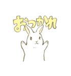 うさぎのシロ（個別スタンプ：15）