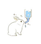 うさぎのシロ（個別スタンプ：16）