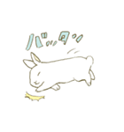 うさぎのシロ（個別スタンプ：17）
