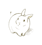 うさぎのシロ（個別スタンプ：28）