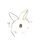 うさぎのシロ（個別スタンプ：30）
