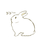 うさぎのシロ（個別スタンプ：36）
