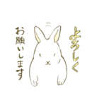うさぎのシロ（個別スタンプ：39）