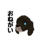 ルアンちゃんのオリジナルスタンプ（個別スタンプ：3）