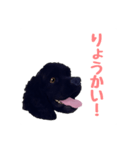 ルアンちゃんのオリジナルスタンプ（個別スタンプ：6）