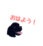 ルアンちゃんのオリジナルスタンプ（個別スタンプ：7）