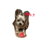 モンだよ〜 よろしくね（個別スタンプ：3）
