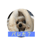 モンだよ〜 よろしくね（個別スタンプ：8）