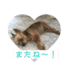 モンだよ〜 よろしくね（個別スタンプ：16）
