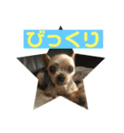 モンだよ〜 よろしくね（個別スタンプ：18）