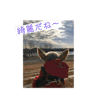 モンだよ〜 よろしくね（個別スタンプ：20）