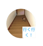 モンだよ〜 よろしくね（個別スタンプ：23）