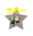 モンだよ〜 よろしくね（個別スタンプ：25）