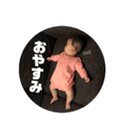 めいにこしずく三姉妹（個別スタンプ：3）