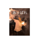 ぬくPマン（個別スタンプ：8）