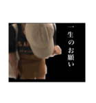 可愛いありちゃん！（個別スタンプ：11）
