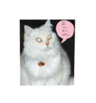 M家のにゃんこ達（個別スタンプ：32）