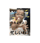 市井6兄妹❶（個別スタンプ：8）