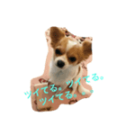 ひとり（個別スタンプ：1）