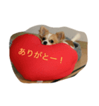 ひとり（個別スタンプ：2）