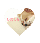 ひとり（個別スタンプ：3）