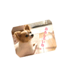 ひとり（個別スタンプ：6）