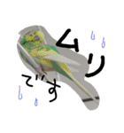 インコズ。（個別スタンプ：16）