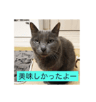 うちのにゃんこฅ^•ﻌ•^ฅ（個別スタンプ：5）