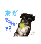 日常用です！（個別スタンプ：3）