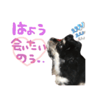 日常用です！（個別スタンプ：5）