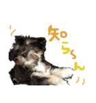 日常用です！（個別スタンプ：9）
