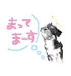 日常用です！（個別スタンプ：13）