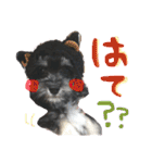 日常用です！（個別スタンプ：20）