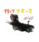 日常用です！（個別スタンプ：23）