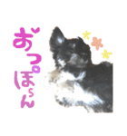 日常用です！（個別スタンプ：28）
