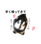 わんわんずと愉快な仲間（個別スタンプ：8）