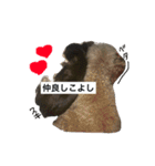 わんわんずと愉快な仲間（個別スタンプ：9）