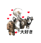 わんわんずと愉快な仲間（個別スタンプ：18）