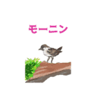 囁く、いきもの達（個別スタンプ：7）