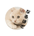 休太郎（個別スタンプ：2）