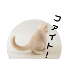 休太郎（個別スタンプ：9）