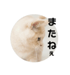 休太郎（個別スタンプ：13）