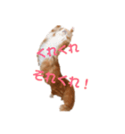 ひのきとしらかば4（個別スタンプ：4）