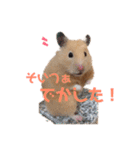 ひのきとしらかば4（個別スタンプ：10）