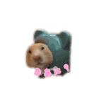 ひのきとしらかば4（個別スタンプ：14）